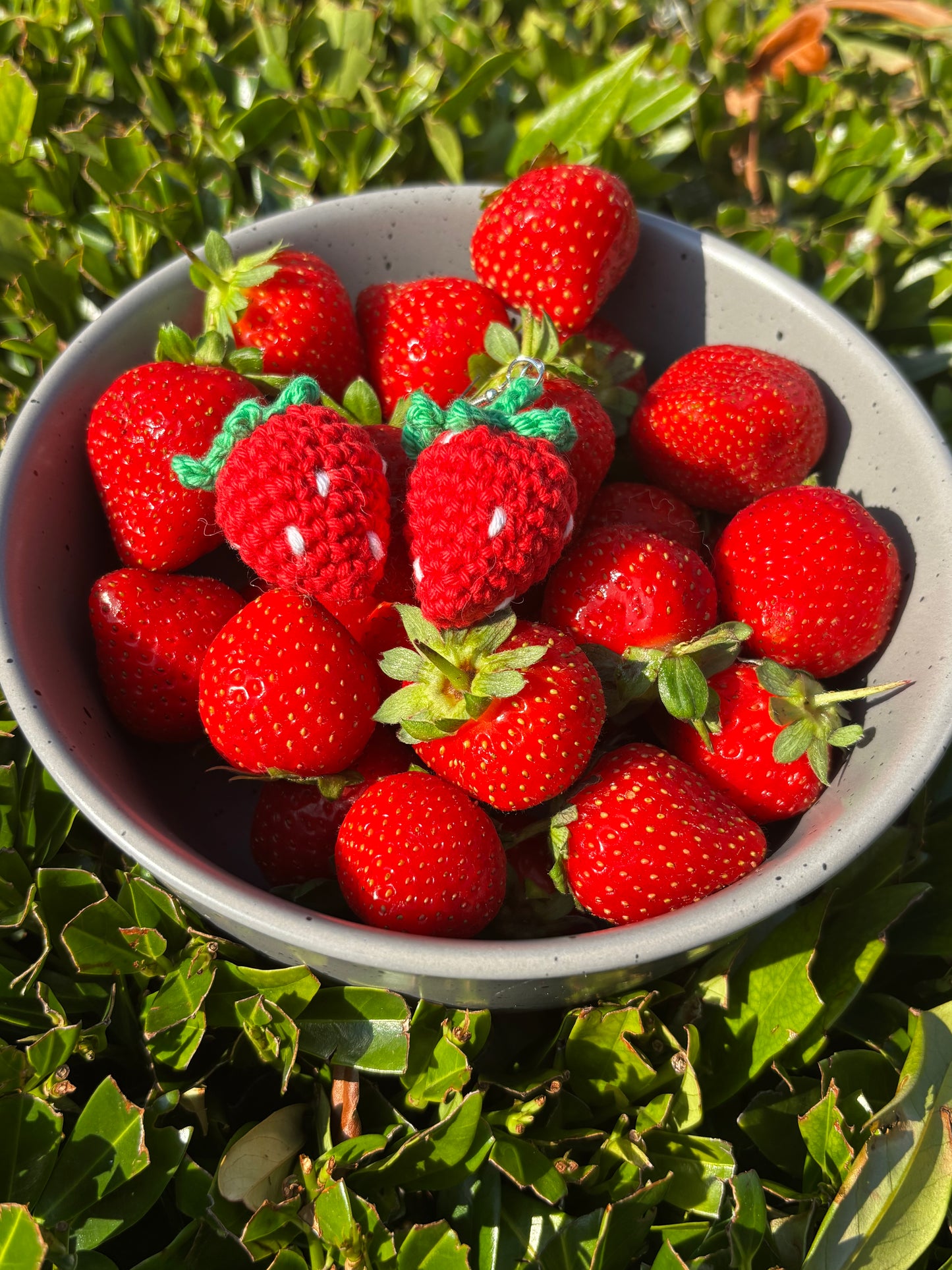 Strawberry earrings 🍓